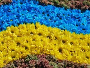 Підприємці Луцька проти свята квітів, бо «жарять шашлики»