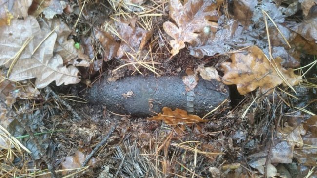 У чотирьох селах Волині знайшли боєприпаси