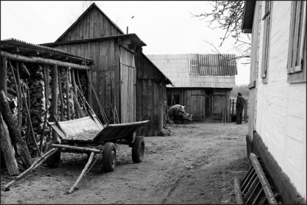 Фотовиставка Тараса Цибуха