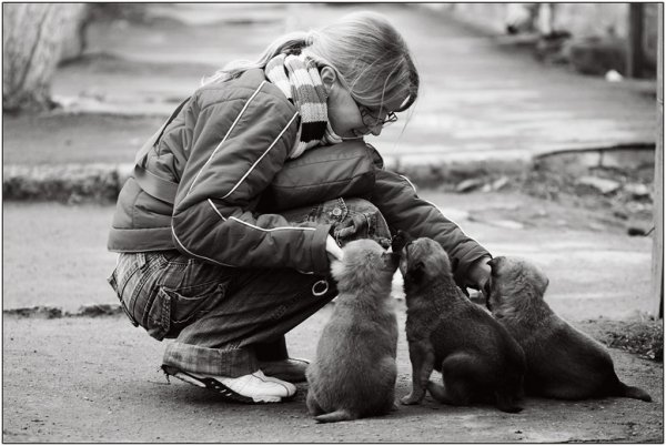 Фотовиставка Тараса Цибуха