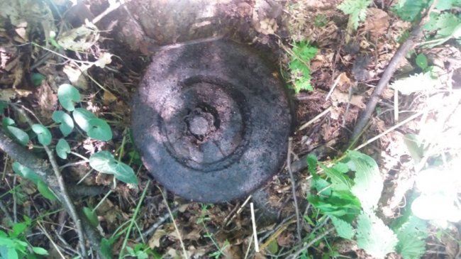 Волинській сапери знешкодили міни та боєприпаси часів минулих воєн. ФОТО