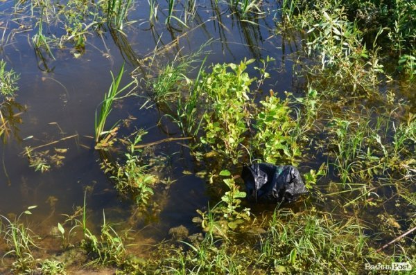 Місто, річка, сонце: у Луцьку стартував купальний сезон. ФОТО