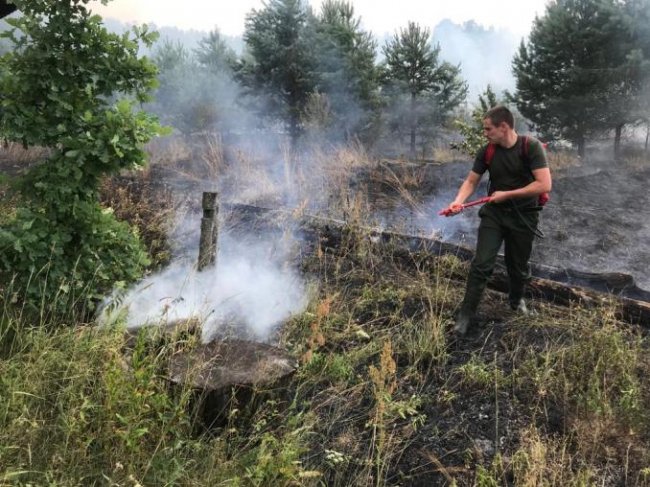 На Волині через підпал трави згоріло два будинки. ФОТО