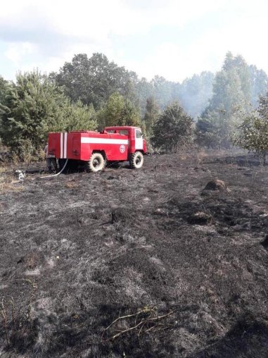 На Волині через підпал трави згоріло два будинки. ФОТО