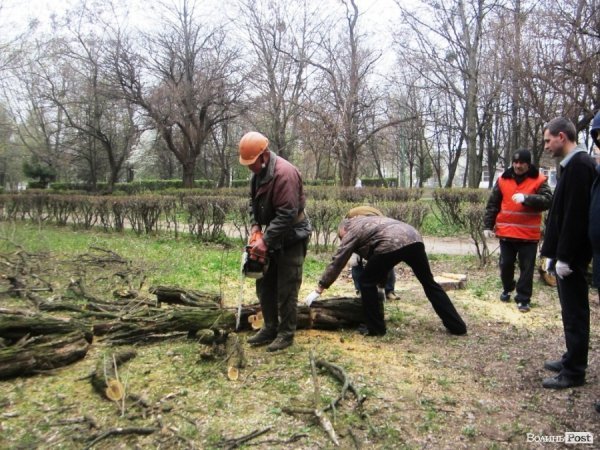 Толока в луцькому сквері закінчилася «пікетом» міського голови. ФОТО