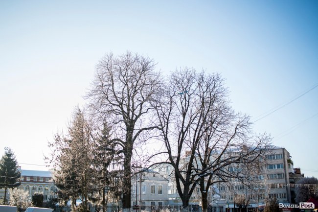 Луцьк – у кришталевій паморозі: казкові світлини різдвяного ранку. ФОТО