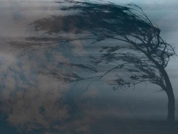 Сильні пориви вітру: волинян попереджають про негоду