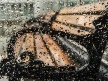 Погода у Луцьку та Волинській області на завтра, 18 лютого