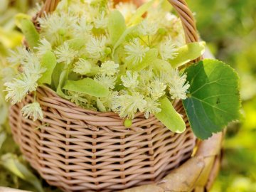 4 липня – яке сьогодні свято і що не можна робити в цей день