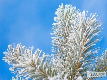 Луцьк в інеї: вражаючі світлини фотографа