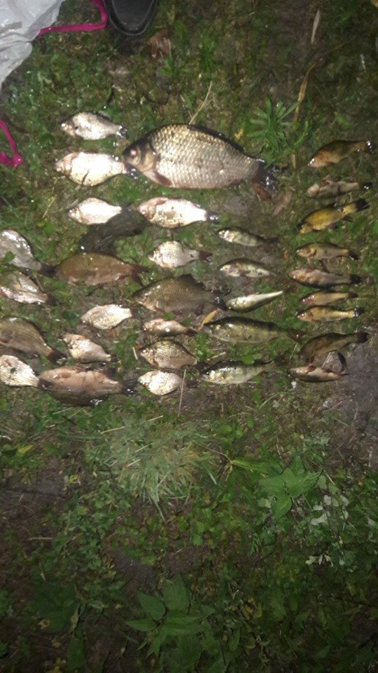 На Волині спіймали «на гарячому» двох рибалок-браконьєрів. ФОТО