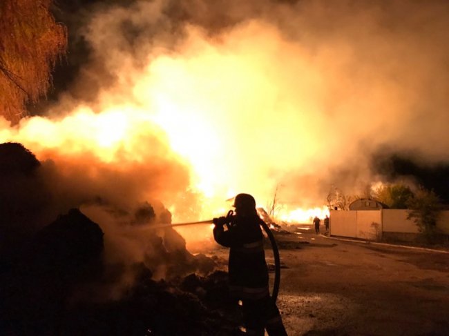 На Хмельниччині згоріло 1200 тонн промислових конопель