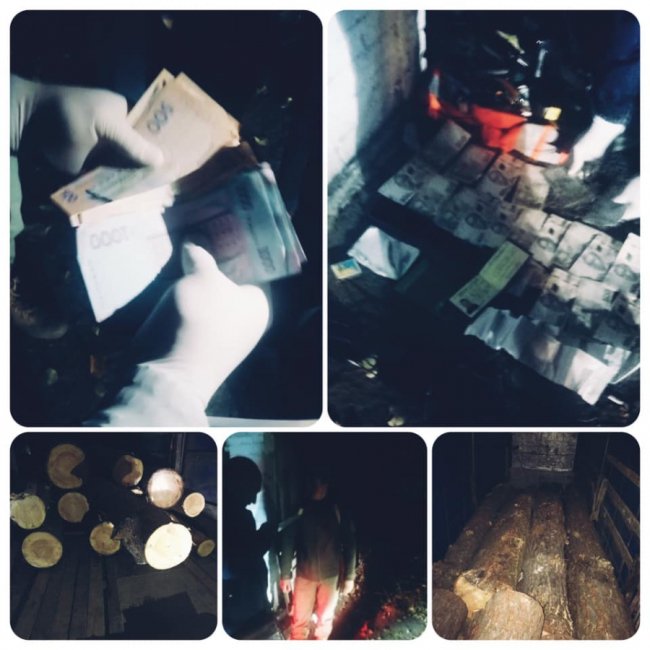 На Волині лісівника викрили на хабарі