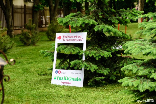 Люди з пересадженими органами посадили біля лікарні у Луцьку Алею життя. ФОТО