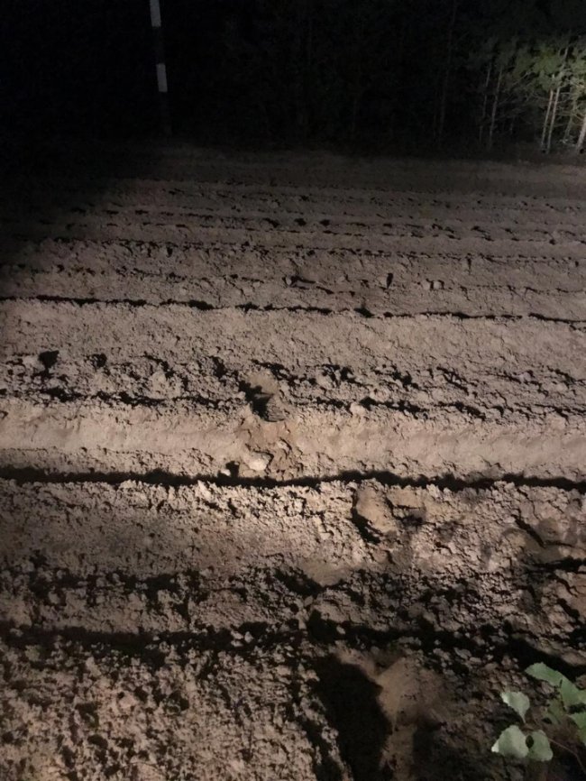 Волинські прикордонники викрили цигаркових контрабандистів