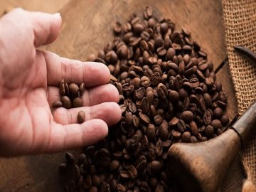 Марагоджип – елітні сорти кави для гурманів*