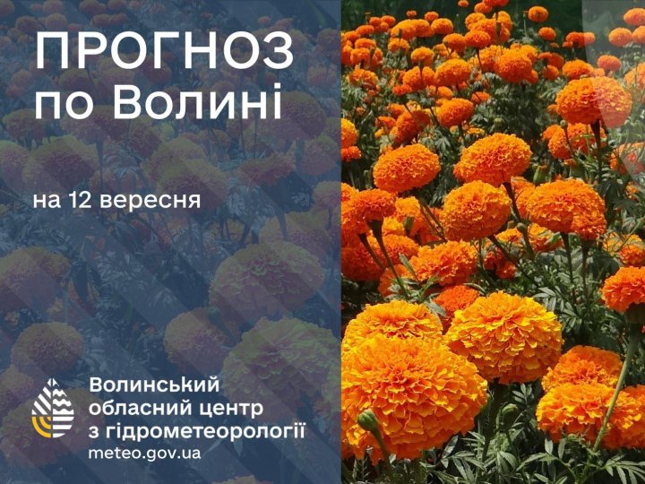 Якою буде погода у Луцьку та на Волині у четвер, 12 вересня