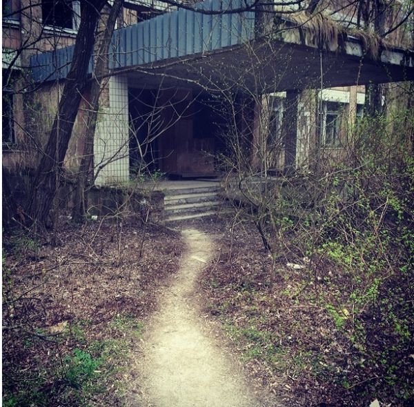 Там, де немає людей. ФОТО