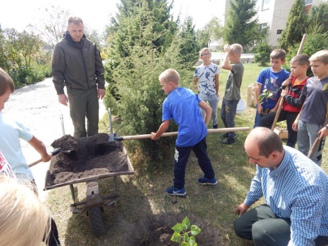 Зростаємо разом: на Волині учні висадили дерева на території школи. ФОТО