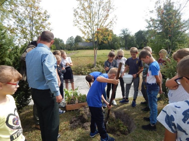 Зростаємо разом: на Волині учні висадили дерева на території школи. ФОТО