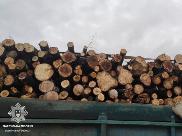 На Волині затримали водія з нелегальною деревиною. ФОТО