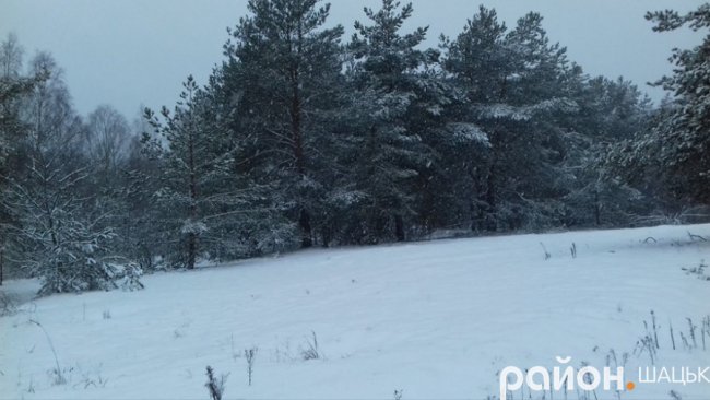 Неймовірні фото засніженого Шацького поозер'я