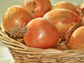 В Україні почали зростати ціни на цибулю