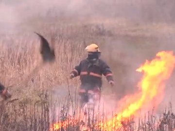 У Луцьку поблизу річки горіла суха трава. ВІДЕО