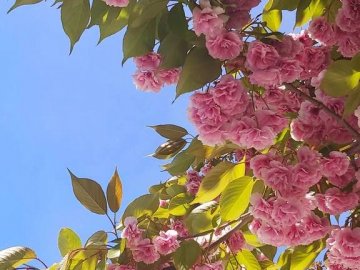 Добрі новини від ВолиньPost за 12 травня 