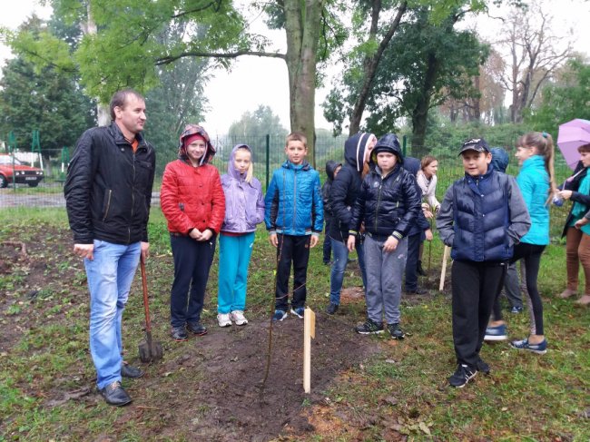 Волинські гімназисти посадили фруктовий сад в честь ювілею навчального закладу