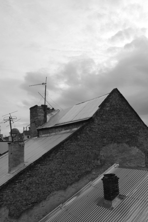 Фотовиставка Анни Лучії Лобос