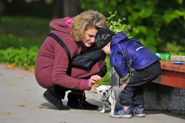 «Бабине літо» і «бебі-бум» Луцьку. ФОТО