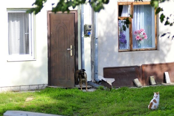 «Бабине літо» і «бебі-бум» Луцьку. ФОТО