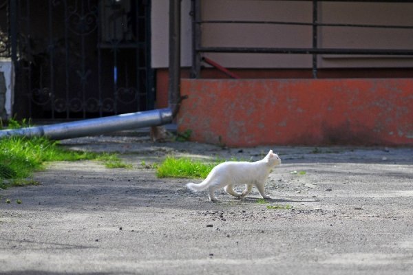 «Бабине літо» і «бебі-бум» Луцьку. ФОТО