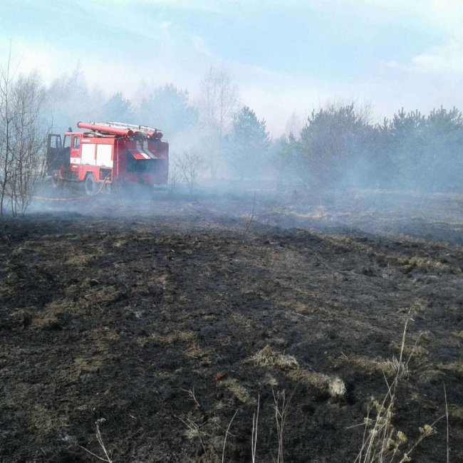 Пожежі на Волині: горіли суха трава, очерет та сміття