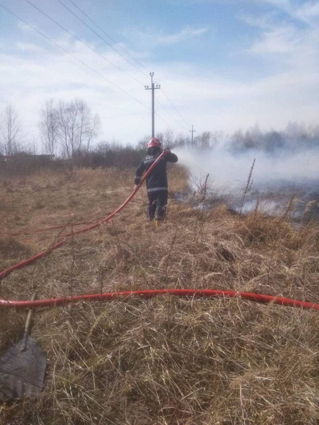 Пожежі на Волині: горіли суха трава, очерет та сміття