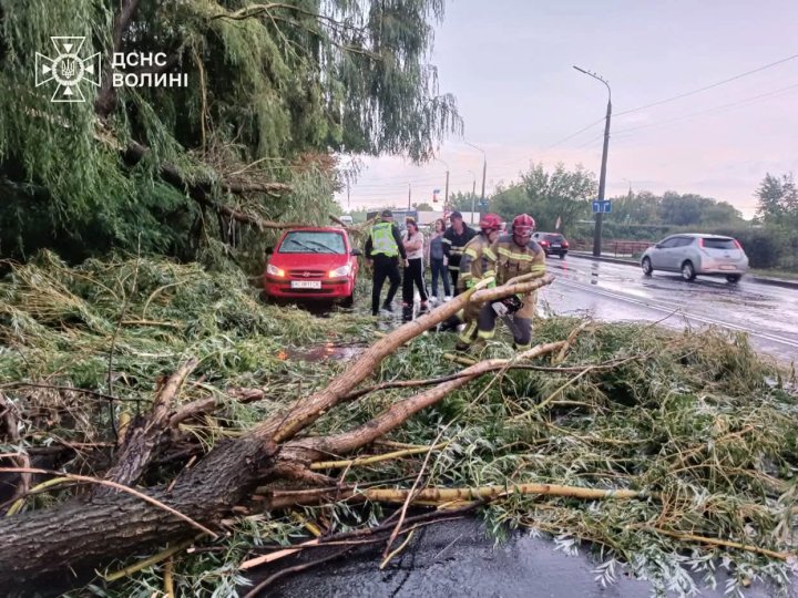 Містом пройшла гроза: у Луцьку рятувальники показали наслідки негоди