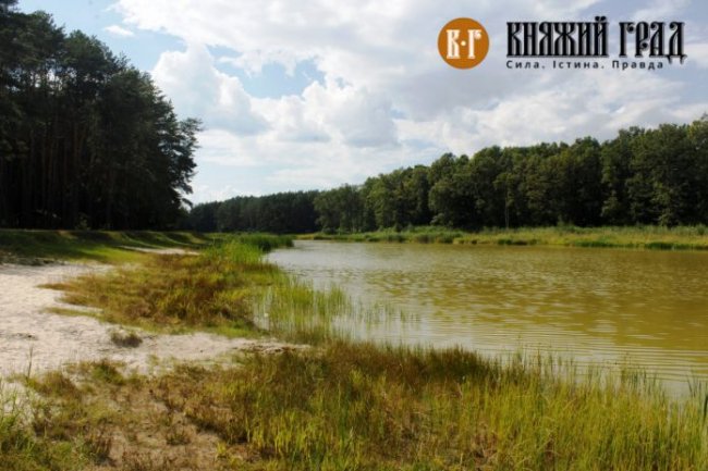 Через бездіяльність власника замулилось озеро на Волині. ФОТО