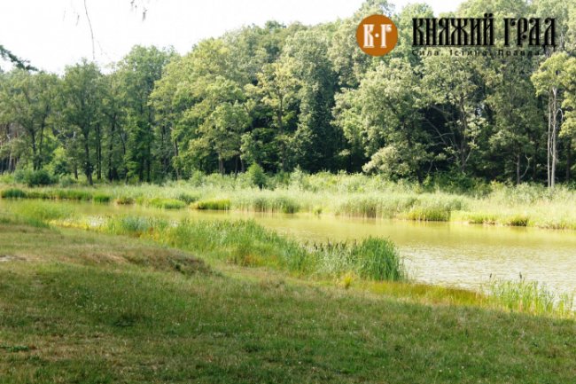 Через бездіяльність власника замулилось озеро на Волині. ФОТО