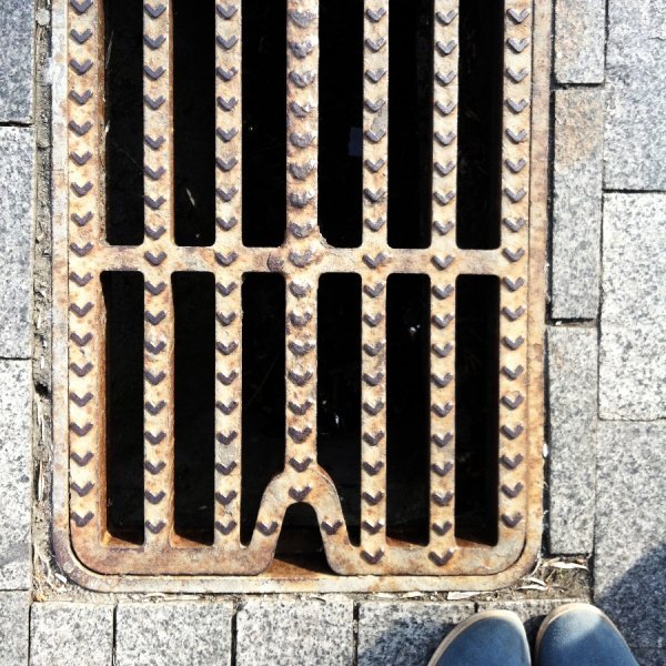 Фотовиставка Лідії Кожевнікової