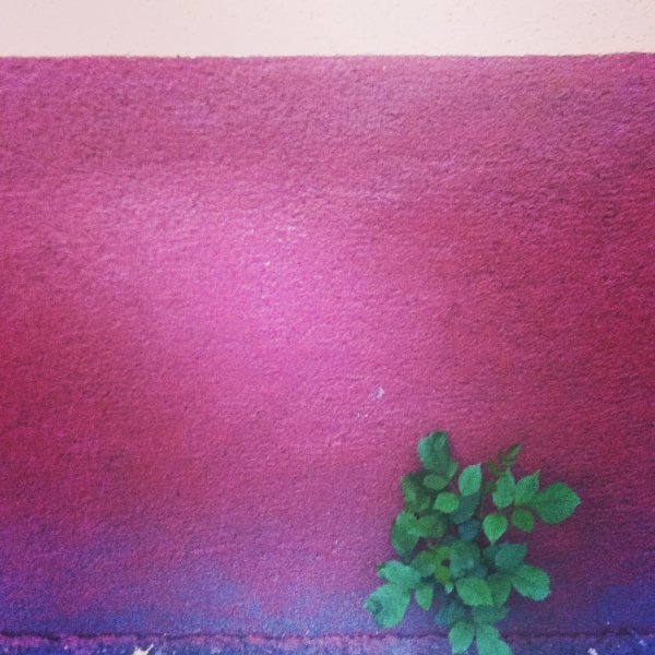 Фотовиставка Лідії Кожевнікової