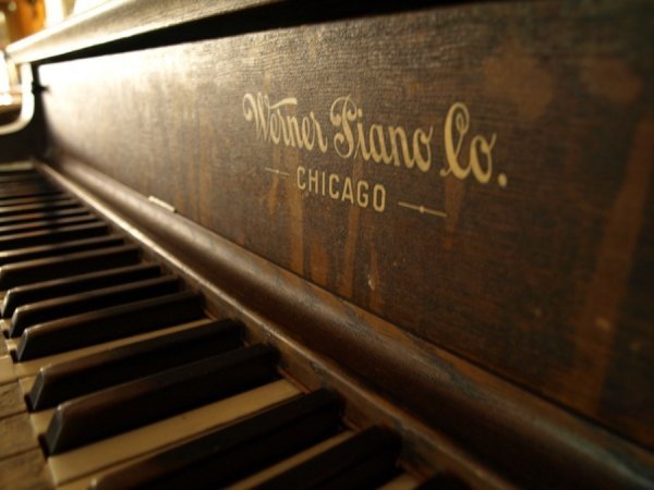 Фотовиставка Тетяни Полуектової