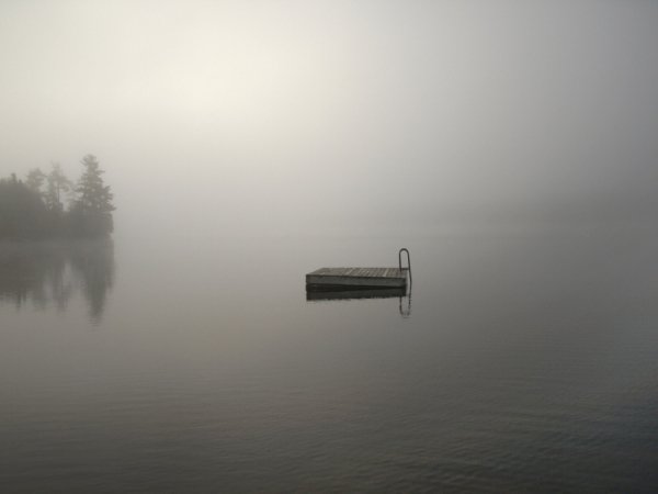 Фотовиставка Тетяни Полуектової