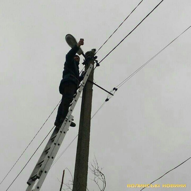 У селі під Луцьком кошеня добу просиділо на високому стовпі. ФОТО