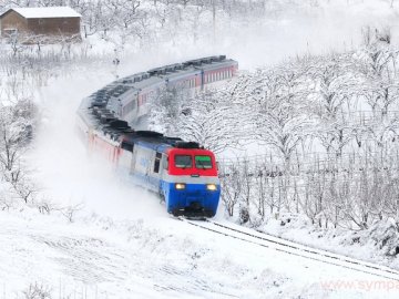 Лучани розповіли, де зустрічатимуть Новий рік. ВІДЕО