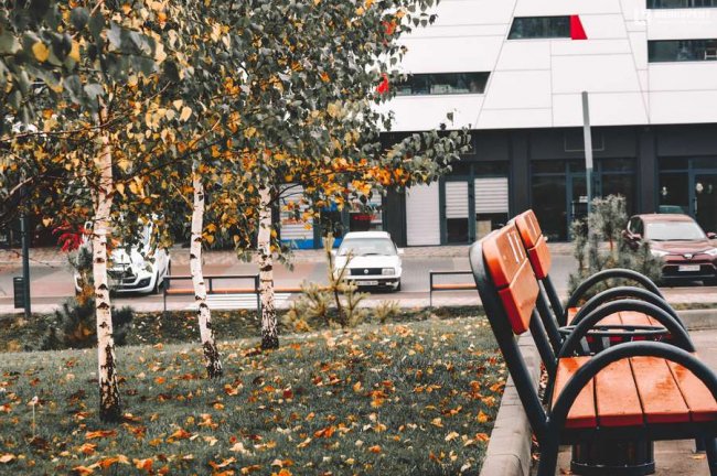 Атмосферні фото осені у луцькому «Сіті Парку»