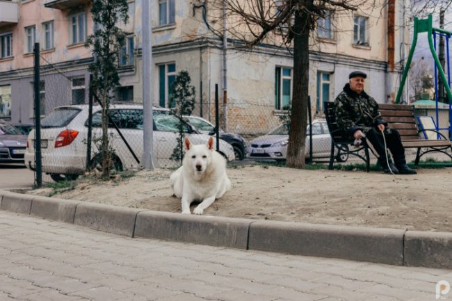 Нова бруківка, відеоспостереження та дитячий майданчик: як змінився двір на Ковельській у Луцьку. ФОТО