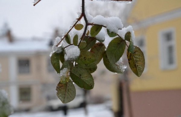 Волинь готова до снігопадів, - ОДА. ФОТО