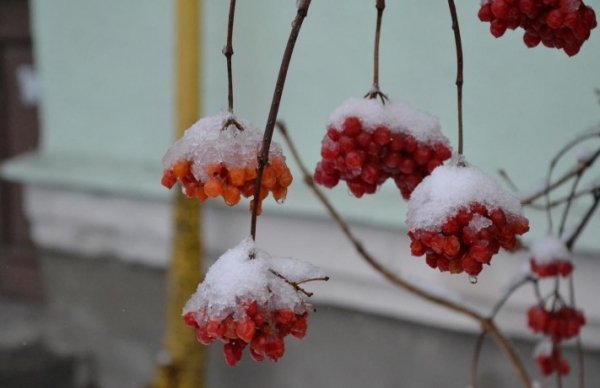 Волинь готова до снігопадів, - ОДА. ФОТО