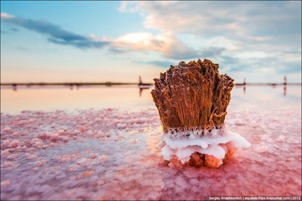 Соляні квіти та багряні ріки Криму. ФОТО